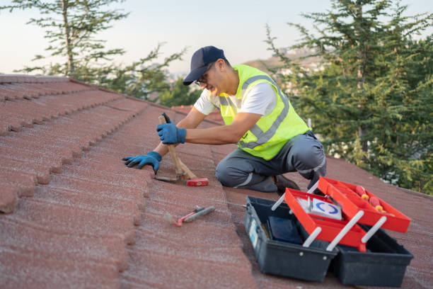 Best Roof Repair Services  in Miami Heights, OH